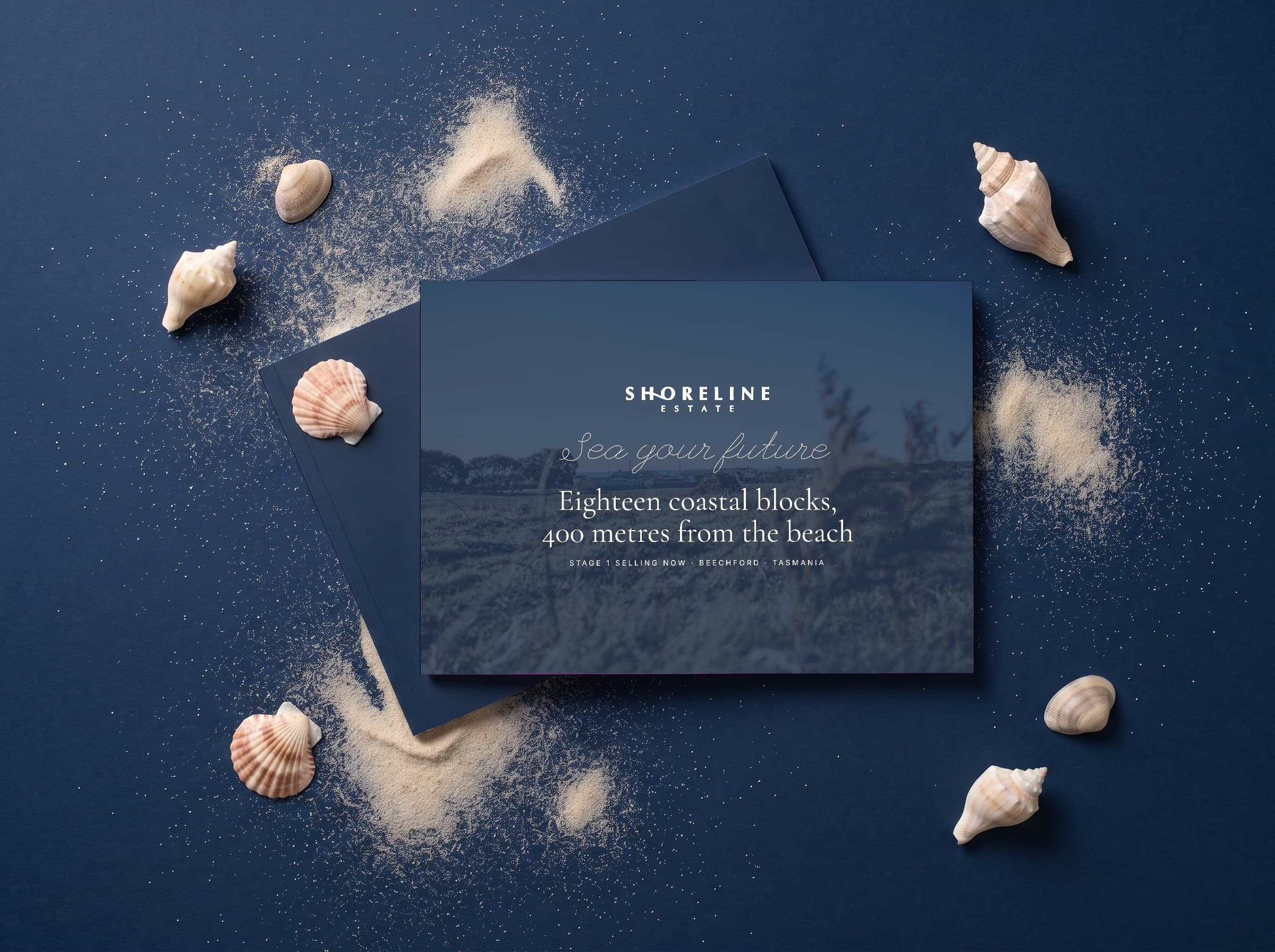 The printed brochure